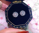 <tc>Sonnen-Moissanit-Ohrringe aus 925er Silber</tc>