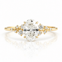 Clearing Ring — Light at the Heart of Nature