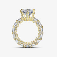 <tc>Edler Ring</tc>