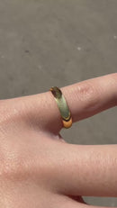 <tc>Ring Katzenauge – Eine Welle in Bewegung</tc>